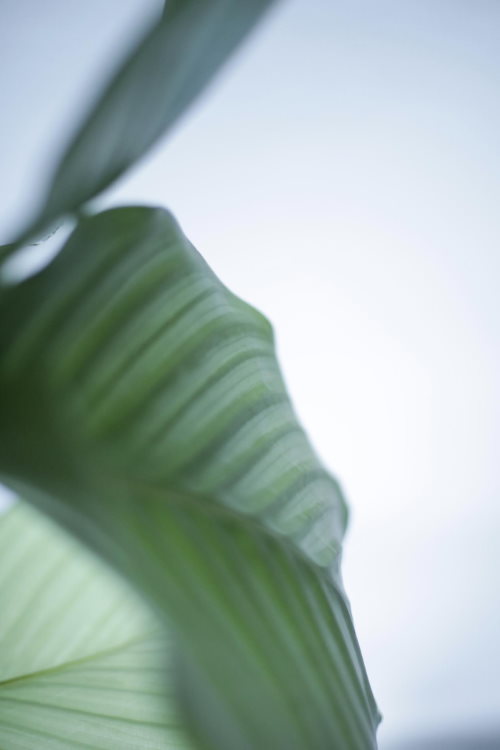 Workshop “Mindful Mind Minimalismus”